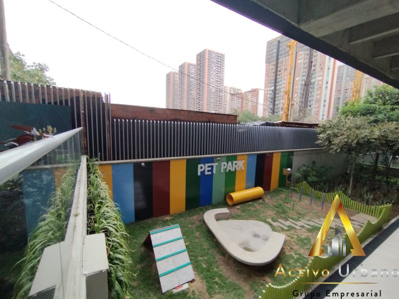 foto_104227_901271444_3635143895_ss