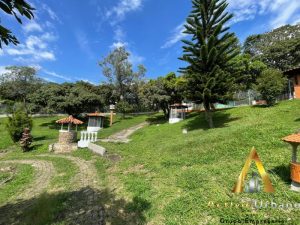 foto_104581_901271444_0329667161_ss