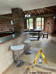 foto_104581_901271444_8110488848_ss