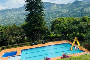 foto_104581_901271444_8146485068_ss