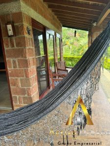 foto_104581_901271444_8162363612_ss