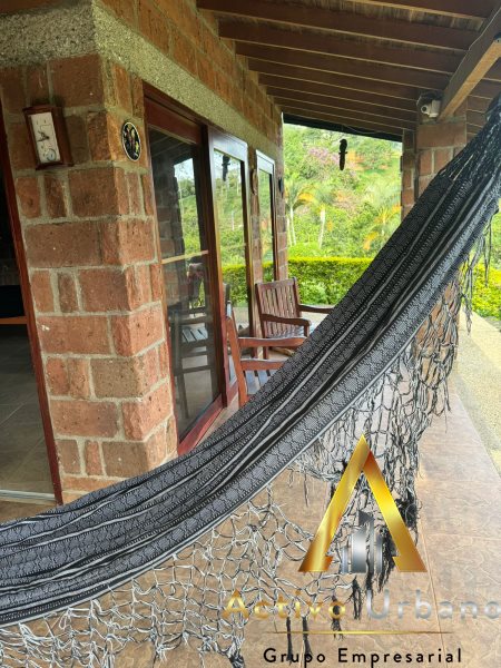 foto_104581_901271444_8162363612_ss