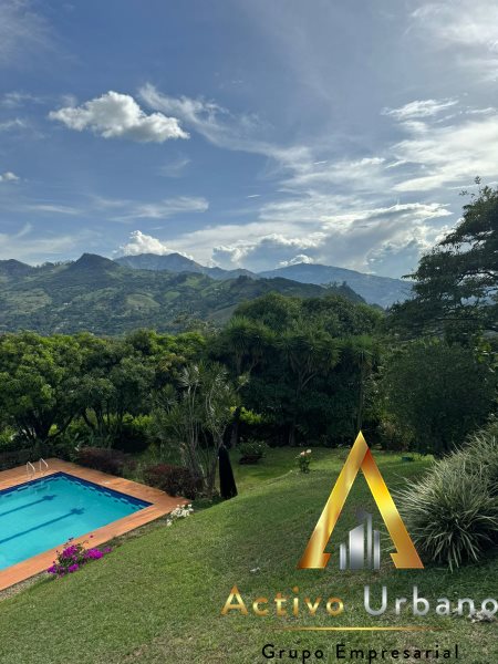 foto_104581_901271444_8162388107_ss