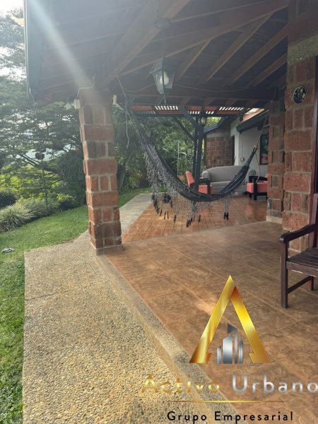 foto_104581_901271444_8180905557_ss