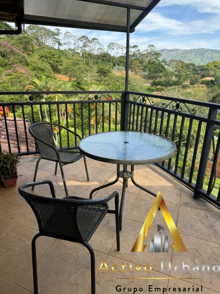 foto_104581_901271444_8192061534_ss