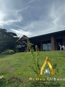 foto_104581_901271444_8195128862_ss