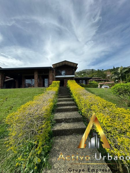 foto_104581_901271444_8196126713_ss