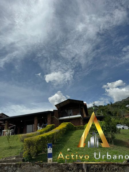 foto_104581_901271444_8209850957_ss