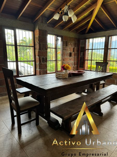 foto_104581_901271444_8210477823_ss