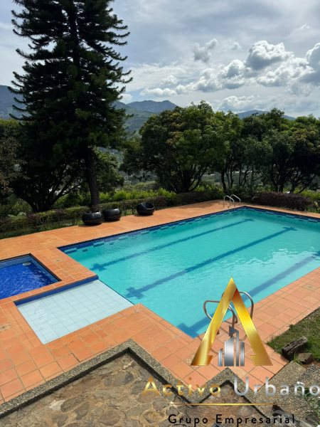 foto_104581_901271444_8215293581_ss