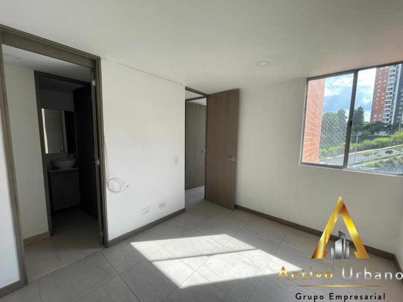 foto_104586_901271444_1287826399_ss