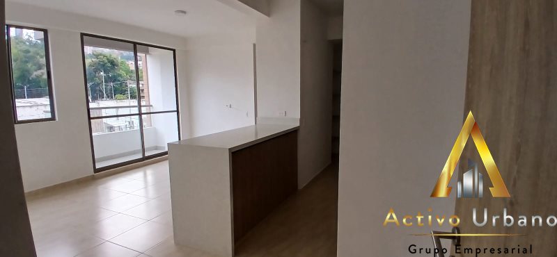 foto_104586_901271444_3863767265_ss