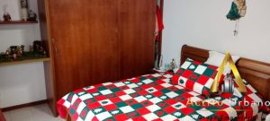 foto_104586_901271444_3865026121_ss