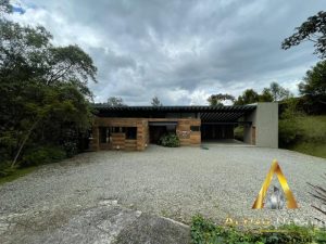 foto_104586_901271444_3870060324_ss