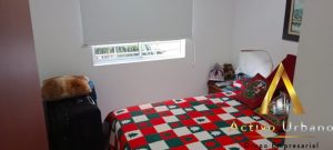 foto_104586_901271444_3888419016_ss