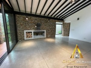 foto_104586_901271444_3920320316_ss