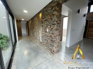 foto_104586_901271444_3939253751_ss