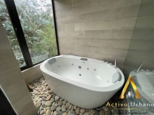 foto_104586_901271444_3962865122_ss