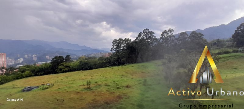 foto_104586_901271444_8352766635_ss