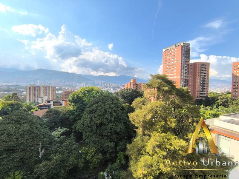 foto_104782_901271444_0140573895_ss