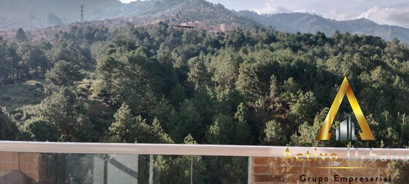 foto_104782_901271444_1902979565_ss