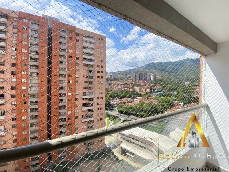 foto_104782_901271444_2904205101_ss