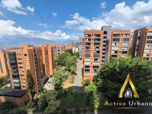 foto_104782_901271444_3132569757_ss