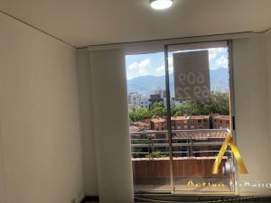 foto_104782_901271444_3525590951_ss