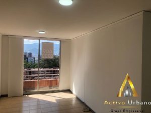 foto_104782_901271444_3535171870_ss