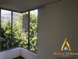 foto_104782_901271444_3585155628_ss