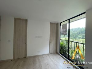 foto_104782_901271444_3665256788_ss