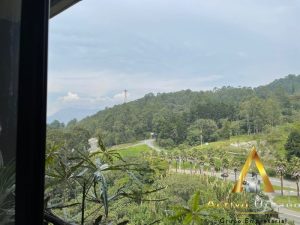 foto_104782_901271444_3701026099_ss