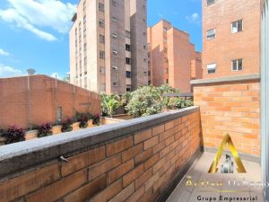 foto_104782_901271444_3806438441_ss