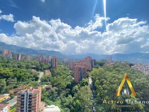 foto_104782_901271444_3887032070_ss