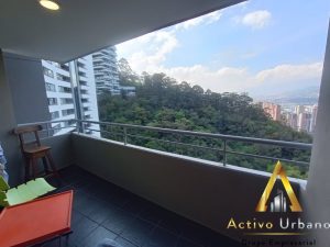 foto_104782_901271444_3931016771_ss