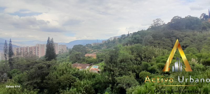 foto_104782_901271444_4184753460_ss