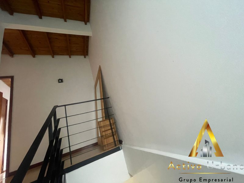 foto_104782_901271444_4313831696_ss