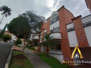 foto_104782_901271444_4342647462_ss