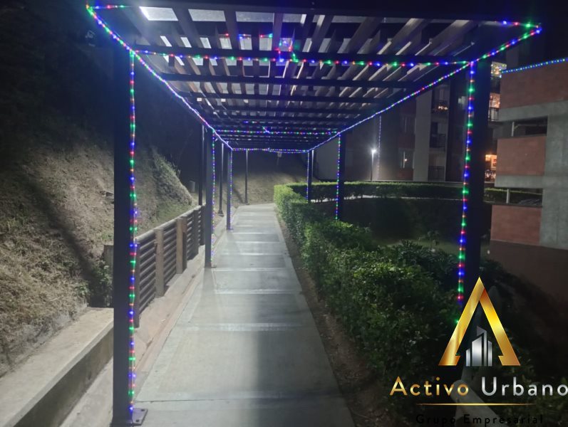 foto_104782_901271444_5023088032_ss