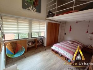 foto_104782_901271444_5038216297_ss