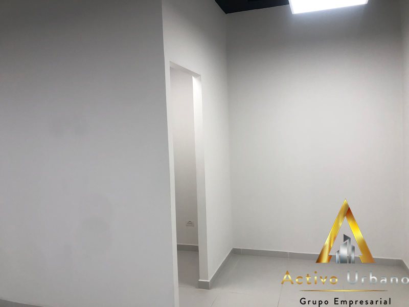 foto_104782_901271444_6070417391_ss