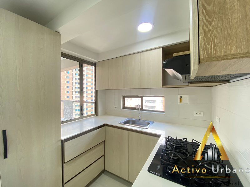 foto_104782_901271444_7027475819_ss