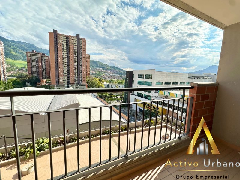 foto_104782_901271444_7161338374_ss