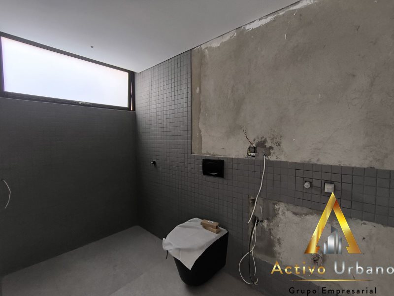 foto_104782_901271444_7236714838_ss