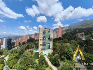 foto_104782_901271444_7917858510_ss