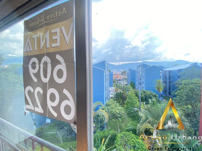 foto_104782_901271444_8164641278_ss