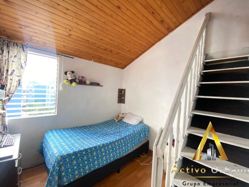 foto_104782_901271444_8172171853_ss