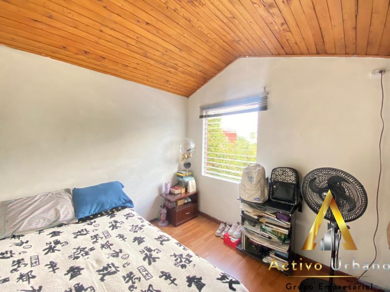 foto_104782_901271444_8195785773_ss