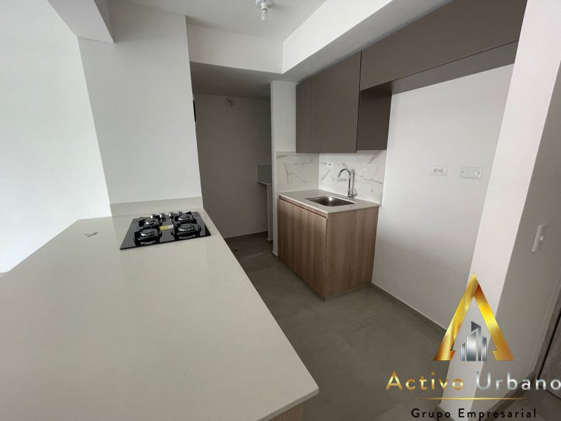 foto_104782_901271444_8238101195_ss