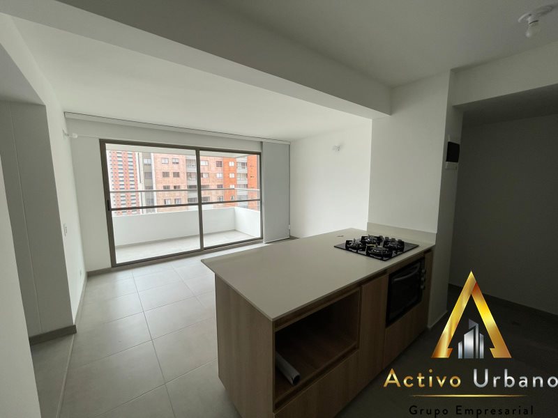 foto_104782_901271444_8238305645_ss